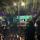 달빛자락 이미지