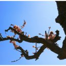 김해건설공업고등학교 이미지