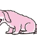 석수동물병원 이미지