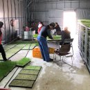 유기농마을 이미지