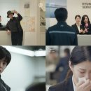 대현유화 이미지