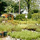 경마공원역 6번 출구 이미지