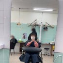 빈헤어(Bin hair)