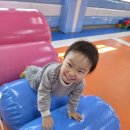 애벌레위를 걸어요 🐛 이미지