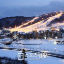 (공연) 어린이 뮤지컬 <목 짧은 기린 지피>2 이미지