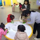 정남진테마숲 이미지