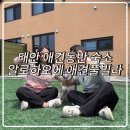붐애견 | 태안 애견동반 숙소 알로하오에 애견풀빌라 VILLA5 후기