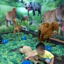 공도어린이집 이미지