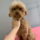 아이케어 동물병원 이미지