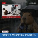 오은에스테틱
