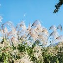 낙동강변13 이미지