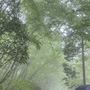 바덴펜션 이미지