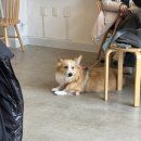 모어라이킷 이미지