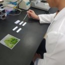 강진반점 이미지