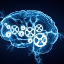 사이서가 이미지