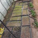 어진농장 이미지