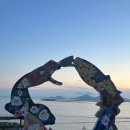 석양을 품은 물고기 이미지