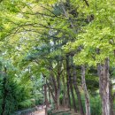 선학파출소 이미지