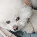 스마일앤조이 이미지