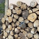 아소 스테이 이미지