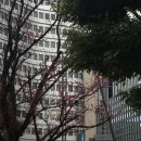 Monterey17 Hotel | [일본 여행] 동생과 둘이 간 2박 3일 도쿄 1탄