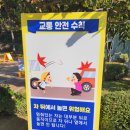 양천구 어린이교통공원 네이버블로그