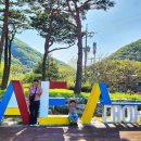 그린슈퍼 | 전북 완주 여행 추천 대아수목원