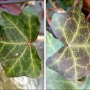 논현1동 주민센터 이미지