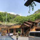 청풍황금송어 이미지