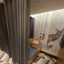 오로라약국 이미지