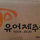 레드향 민박 이미지