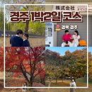 신평동1092 | 경주 1박2일 여행 코스 파워 J가 계획하는 뚜벅이도 가능한 여행일정