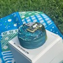 윤스공방 | 포레스트데이 떡케이크 성수 떡케이크맛집 주문제작떡케이크 후기. forrestday 떡케이크 포레스트데이가격