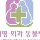 카카오 동물병원 네이버블로그