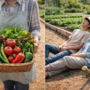 개금농장 이미지