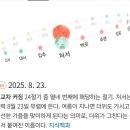 인류의 구원 처서 날짜 이미지