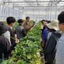 성공농장 이미지