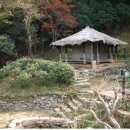 박*춘 - 미추홀구 학익소로63번길 59 | 박*춘