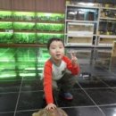 장풍이닷컴 이미지