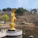 평해사구습지 이미지