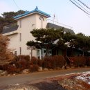 마조리보건진료소 티스토리
