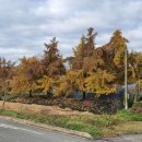 개척농업회사법인 주식회사 이미지