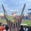 지정18 | [한화생명볼파크] 내야지정적A 114구역 18열 직관 후기⚾️