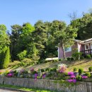 차리인동네 이미지