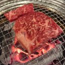 자연이 준 숯이야기 이미지