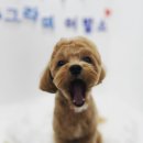 멍그라미 이발소 이미지