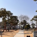 안포레 | 경산 예쁜카페 브런치하기 좋은 안포레 방문 후기