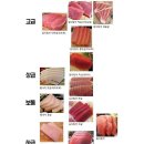 수참치 이미지