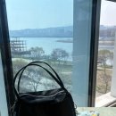 마이띵 - 익산시 | 직장인 가벼운 데일리백 추천 :: 아이띵소 타이디 미니 보스턴 토트백 착용 후기