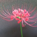 화곡3동 이미지